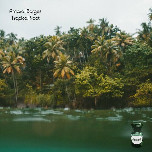  Amaral Borges - Tropical Root (2023) 