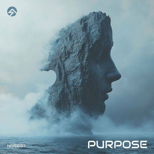  Droplex, Prevision & Monolix - Purpose (2024) 