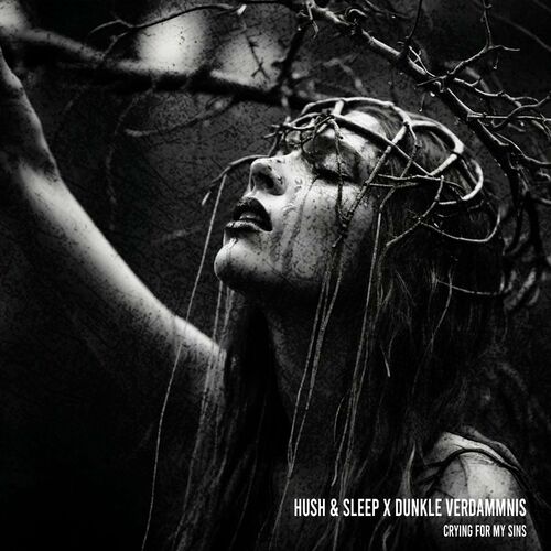  Hush & Sleep And Dunkle Verdammnis - CRYING FOR MY SINS (2024) 