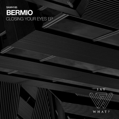 VA - Bermio - Closing Your Eyes (2023) (MP3)