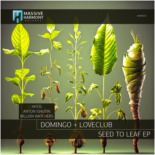  Domingo & Loveclub - Seed to Leaf (2023) 