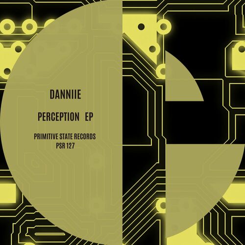  Danniie - Perception (2023) 
