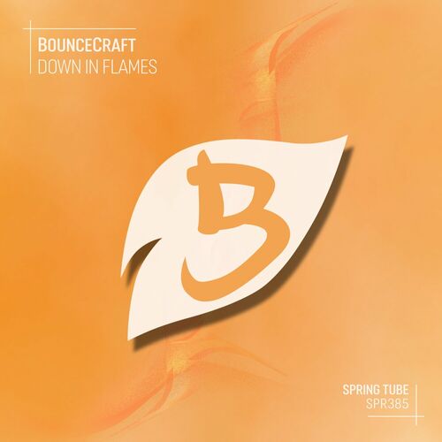 VA - BounceCraft - Down in Flames (2024) (MP3)