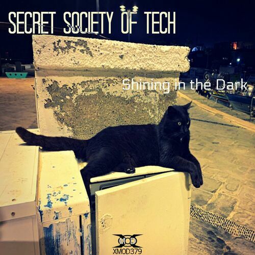 VA - Secret Society of Tech - Shining in the Dark (2024) (MP3)