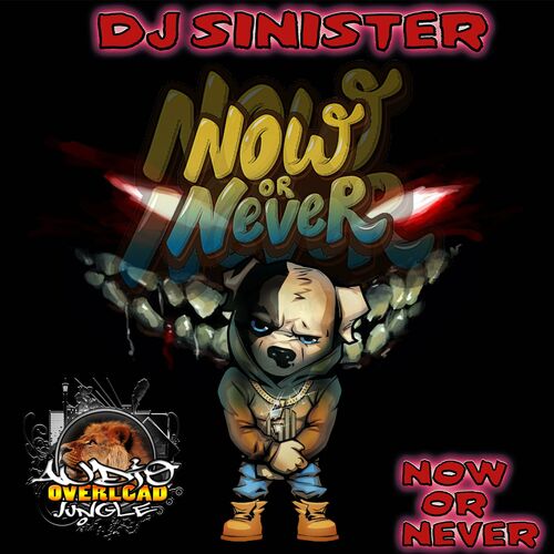  DJ Sinister - Now Or Never (2023) 