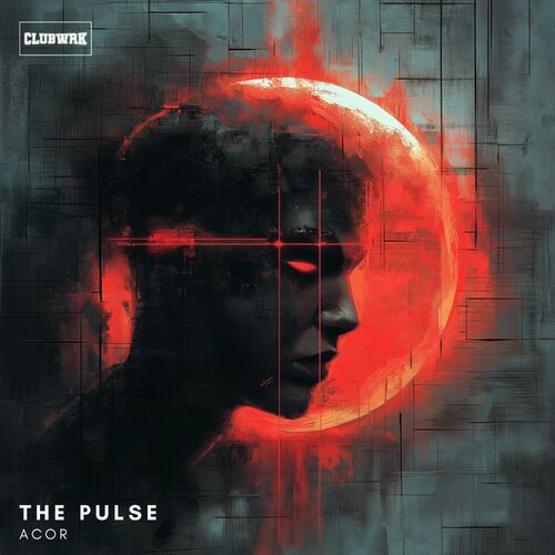 VA -  Acor - The Pulse (2024) [MP3] 500x500-000000-80-0-0