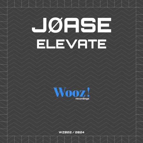 VA -  Joase - Elevate (2024) [MP3] 500x500-000000-80-0-0