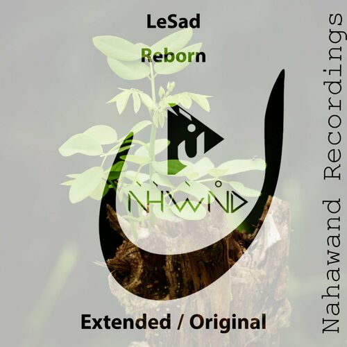  LeSad - Reborn (2023) 
