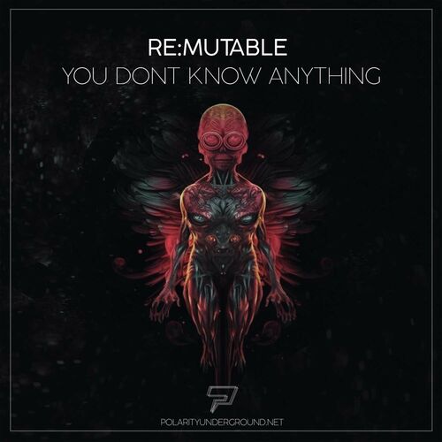  re Mutable - You Dont Know Anything (2024) 