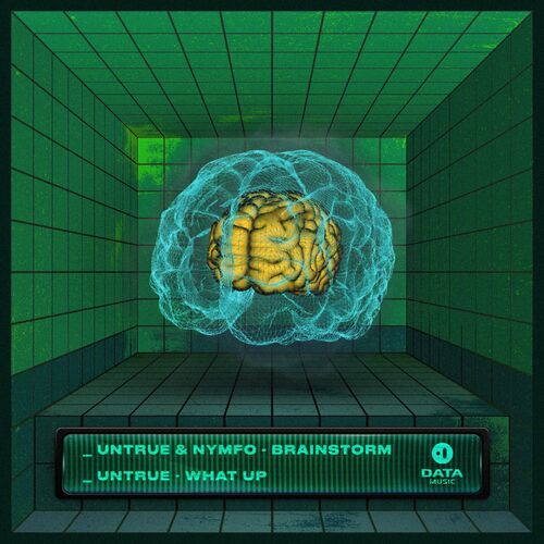  Untrue & Nymfo - Brainstorm / What Up (2023) 