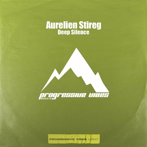 VA - Aurelien Stireg - Deep Silence (2024) (MP3) 500x500-000000-80-0-0