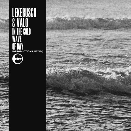  Lekebusch & Valo - In The Cold Wave of Day (2023) 