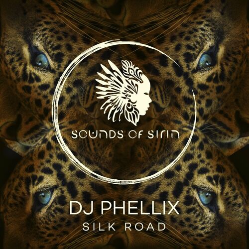  DJ Phellix - Silk Road (2023) 