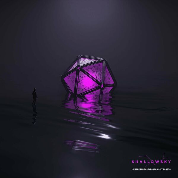 Shallowsky - MUSCLESAREUSELESSAGAINSTGHOSTS [single] (2022)