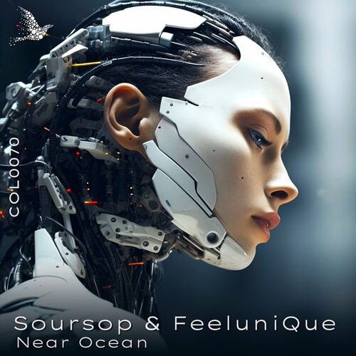 Soursop & FeeluniQue — Near Ocean (2024)