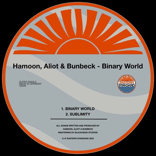  Hamoon, Aliot & Bunbeck - Binary World (2023) 