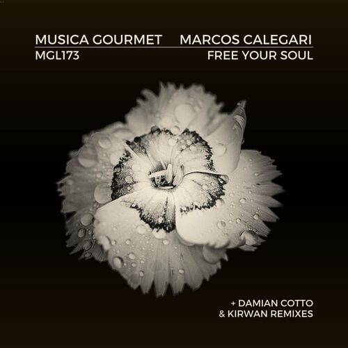  Marcos Calegari - Free Your Soul (2023) 
