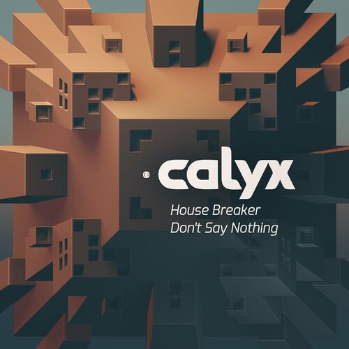  Calyx - House Breaker / Don't Say Nothing (2024) 