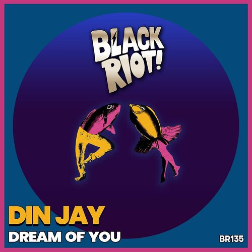  Din Jay - Dream of You (2023) 