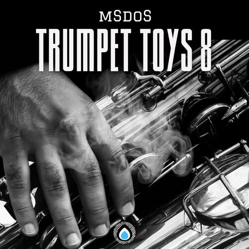  MSdoS - Trumpet Toys 8 (2023) 