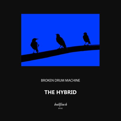  Broken Drum Machine - The Hybrid (2023) 