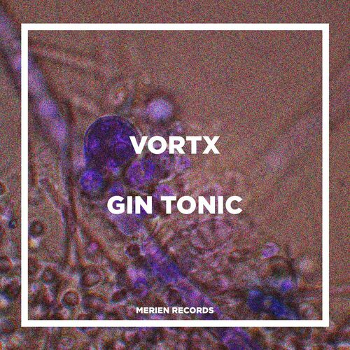  VortX - Gin Tonic (2024) 