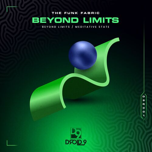  The Funk Fabric - Beyond Limits (2023) 