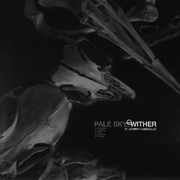 Pale Sky - Wither [single] (2022)