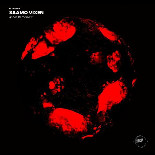  Saamo Vixen - Ashes Remain (2023) 