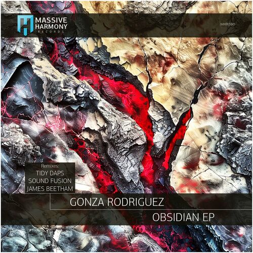 VA - Gonza Rodriguez - Obsidian (2024) (MP3) 500x500-000000-80-0-0