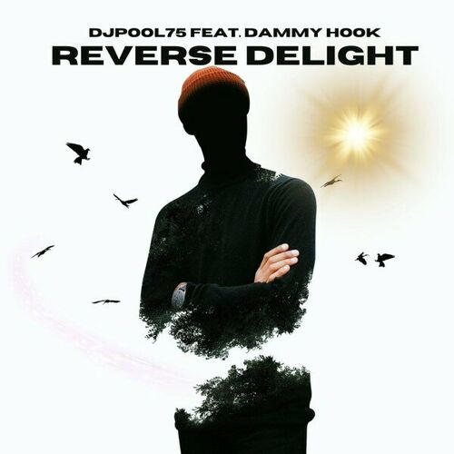 VA - DJPool75 feat. Dammy HooK - Reverse Delight (Mix Techno) (2024... 500x500-000000-80-0-0