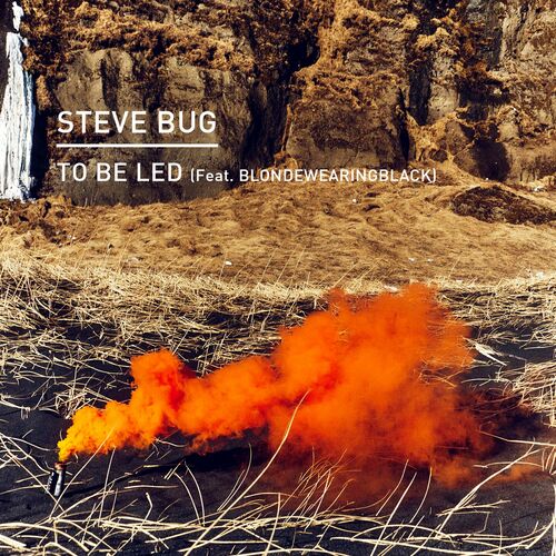  Steve Bug - To Be Led (2023) 