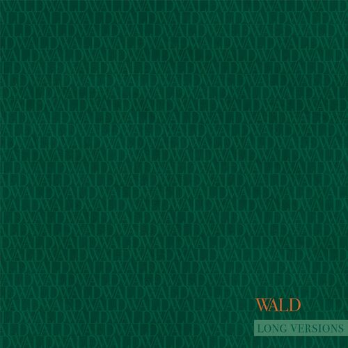  Dominik Eulberg & Hannes Kretzer - Wald (Long Versions) (2024)  500x500-000000-80-0-0