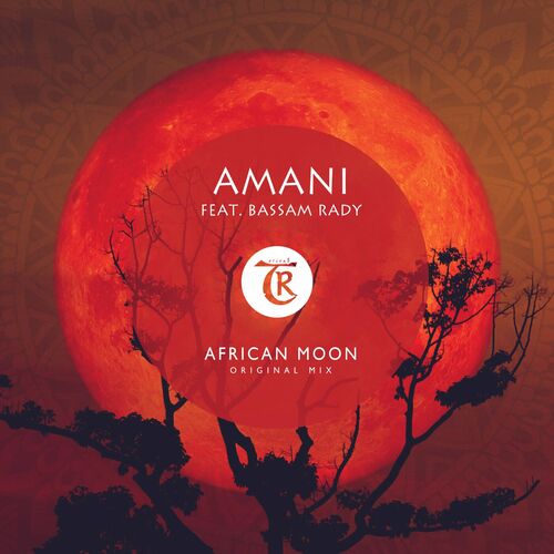  Amani feat. Bassam Rady - African Moon (2023) 