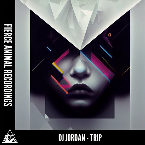  DJ Jordan - TRIP (2023) 