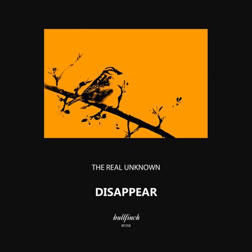  the real Unknown - Disappear (2023) 
