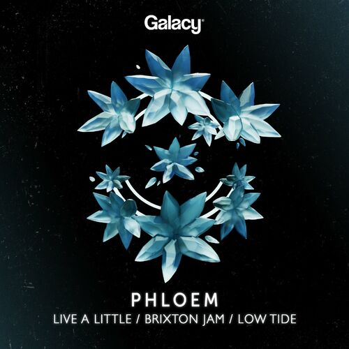  Phloem - Live A Little (2023) 