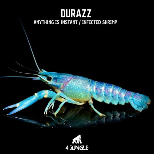  Durazz - Anything Is Instant / Infected Shrimp (2024) 