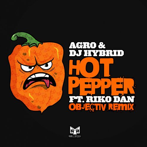  Agro & DJ Hybrid ft. Riko Dan - Hot Pepper Remix (2023) 