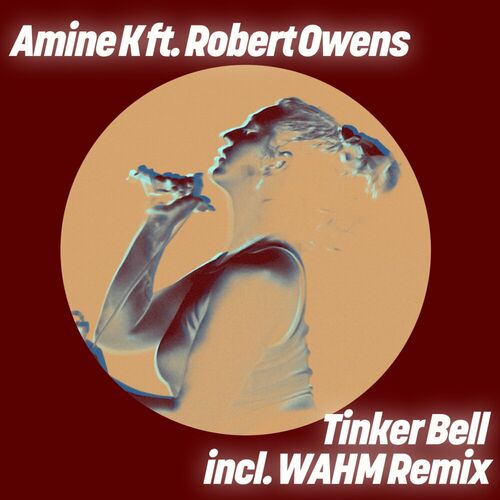 VA -  Amine K (Moroko Loko) ft Robert Owens - Tinker Bell (2024) [MP3] 500x500-000000-80-0-0