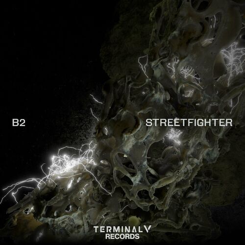  B2 - Streetfighter (2024) MP3 500x500-000000-80-0-0