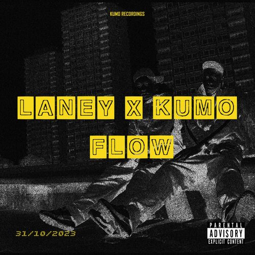  Laney & Kumo - Flow (2023) 