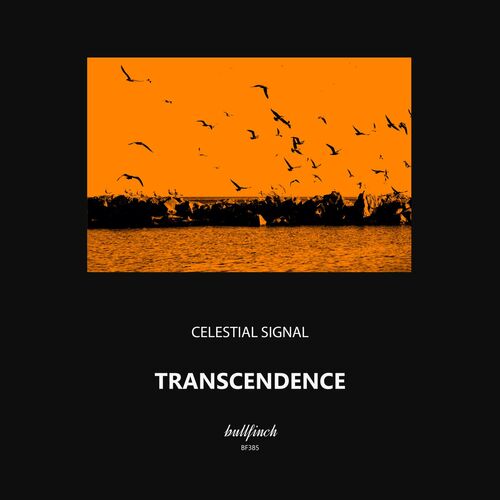 Celestial Signal - Transcendence (2024)