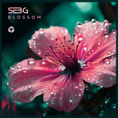  Seb-G - Blossom (2023) 