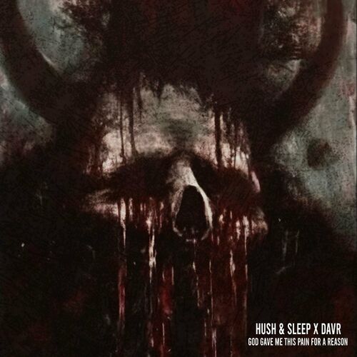 VA -  Hush & Sleep x DAV? - GOD GAVE ME THIS PAIN FOR A REASON (202... 500x500-000000-80-0-0