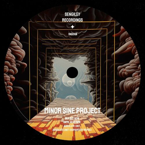  Minor Sine Project - Until Next Time (2023) 