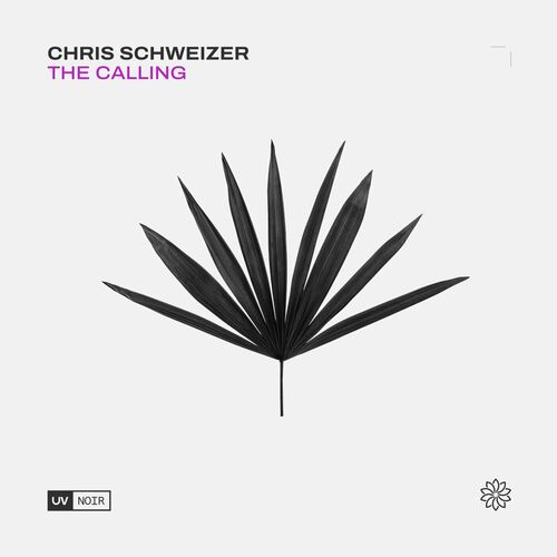  Chris Schweizer - The Calling (2023) 