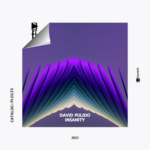  David Pulido - Insanity (2023) 