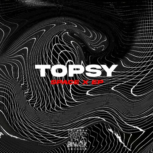  Topsy - Space X (2023) 