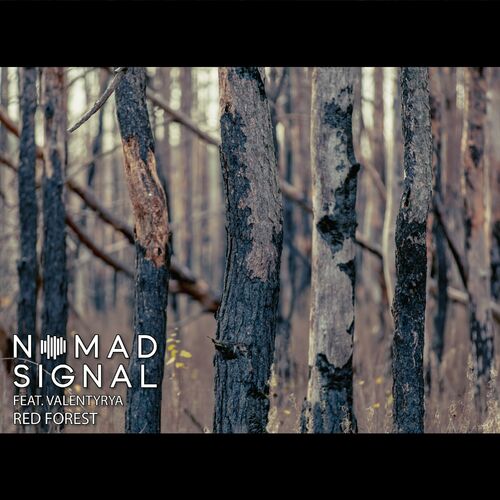  NOMADsignal ft Valentyrya - Red Forest (2024) 